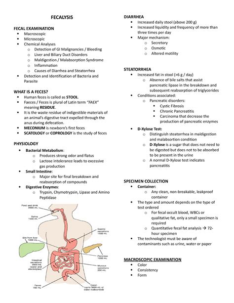 fecalysis|Fecalysis .